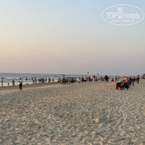 фото из отзыва ID 2325449