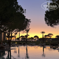 фото из отзыва ID 2325470