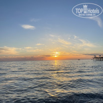 фото из отзыва ID 2325486