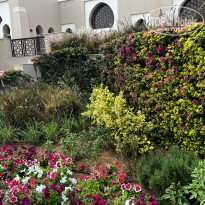 фото из отзыва ID 2325620