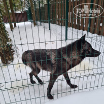 фото из отзыва ID 2325642