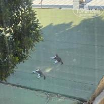 фото из отзыва ID 2325728