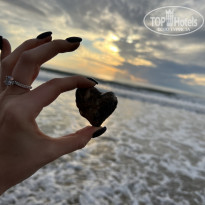 фото из отзыва ID 2325794