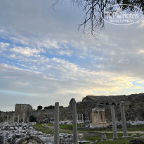 фото из отзыва ID 2325794