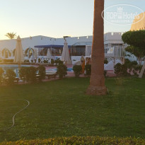 фото из отзыва ID 2325831