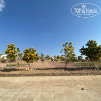 фото из отзыва ID 2323661