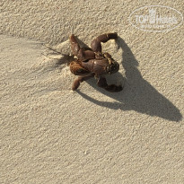 фото из отзыва ID 2325951
