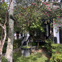 фото из отзыва ID 2325954