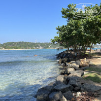 фото из отзыва ID 2325954