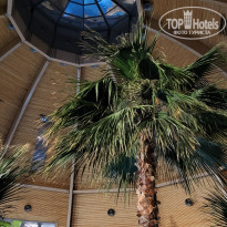 фото из отзыва ID 2325968