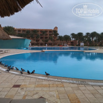 фото из отзыва ID 2326054