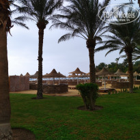 фото из отзыва ID 2326054