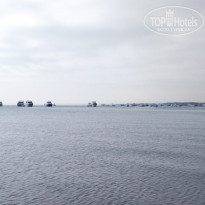 фото из отзыва ID 2326054