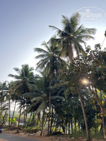 Patnem Palolem Beach Park Apartment