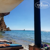 фото из отзыва ID 2326340