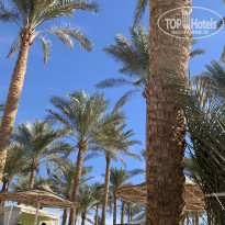 фото из отзыва ID 2326483