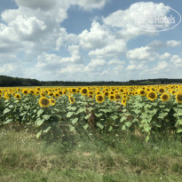 фото из отзыва ID 2326484