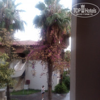 фото из отзыва ID 2326523