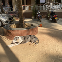 фото из отзыва ID 2326589