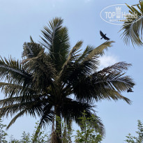 фото из отзыва ID 2326589