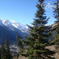 фото из отзыва ID 2326614