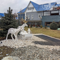 фото из отзыва ID 2326619