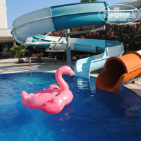 фото из отзыва ID 2326687