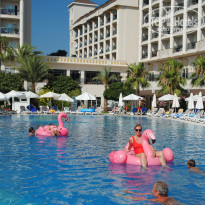 фото из отзыва ID 2326687