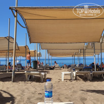 фото из отзыва ID 2326687