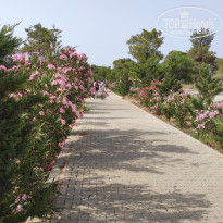 фото из отзыва ID 2326687