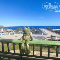 фото из отзыва ID 2327080