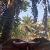 фото из отзыва ID 2327090