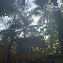 фото из отзыва ID 2327090