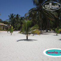 фото из отзыва ID 2327095