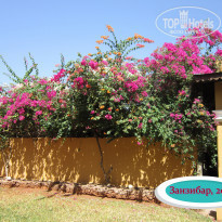 фото из отзыва ID 2327095