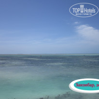 фото из отзыва ID 2327095