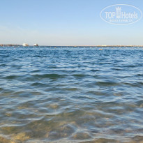 фото из отзыва ID 2327309