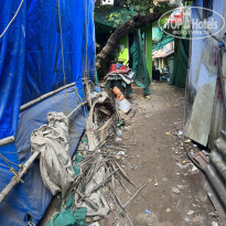 фото из отзыва ID 2327353