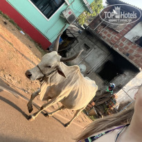 фото из отзыва ID 2327353