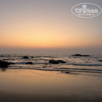 фото из отзыва ID 2327353