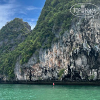 фото из отзыва ID 2327418