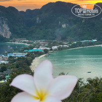 фото из отзыва ID 2327418