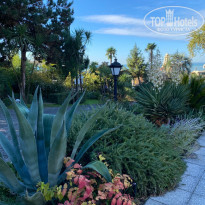 фото из отзыва ID 2327443