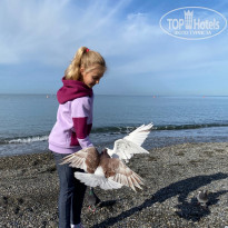 фото из отзыва ID 2327443