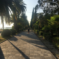 фото из отзыва ID 2327470