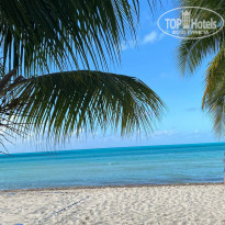 фото из отзыва ID 2327496