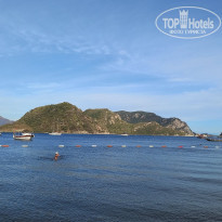 фото из отзыва ID 2327503