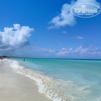 фото из отзыва ID 2327561