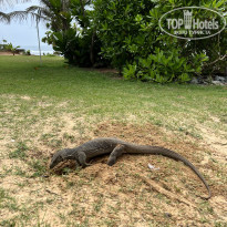 фото из отзыва ID 2327576