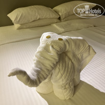 фото из отзыва ID 2327576